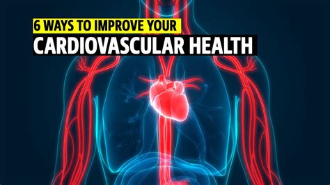 6 Ways To Improve Your Cardiovascular Health Youtube