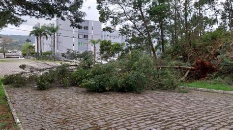 Rvore Cai E Bloqueia Rua No Bairro Vicentina Spa O Fm