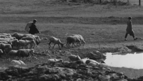 Les Inconnus De La Terre Extrait 1 Editions Montparnasse La