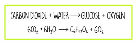 Equation For Photosynthesis