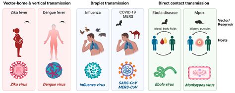 Microorganisms | Free Full-Text | Emerging Infectious Diseases Are ... 