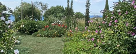 Сообщество «Цветы Калуга» ВКонтакте — публичная страница, Калуга