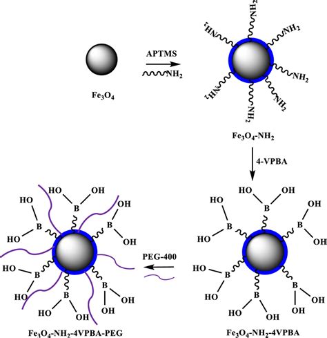 Schematic Illustration Of The Formation Of Fe3O4 Fe3O4 NH2