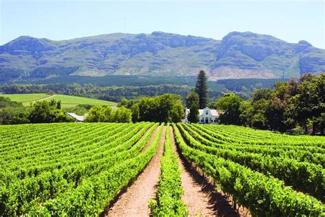 Full Day Winelands Tour 2024 Cape Town