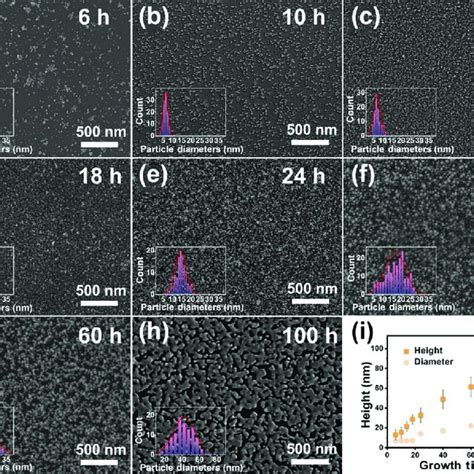 Sem Images Of A H Au Nanostructures Prepared By Pmetac B Pmma