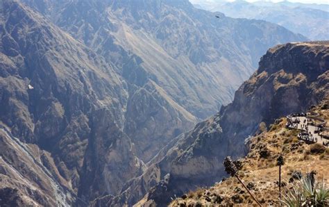 Premium Photo Andean Condor Vultur Gryphus Flying Over The Valley