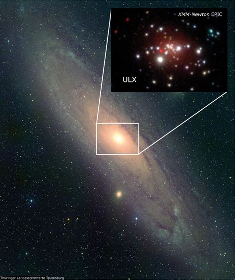 X-rays Reveal a Stellar-Mass Black Hole in Andromeda