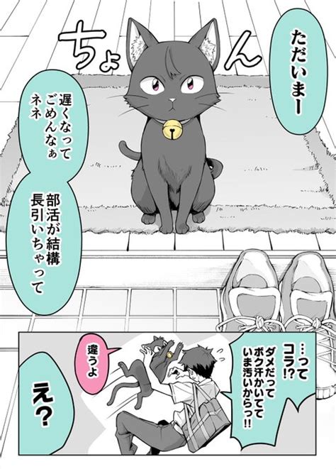 愛が重すぎるうちのヤンデレ飼い猫 1 1 2 小龍 ニートくノ一アニメ化🎉 さんのマンガ ツイコミ 仮