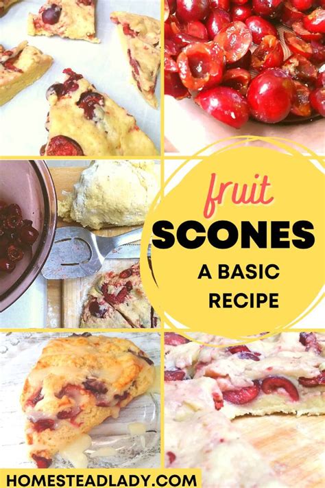 Basic Scone Recipe For Fresh Or Dried Fruit • Homestead Lady