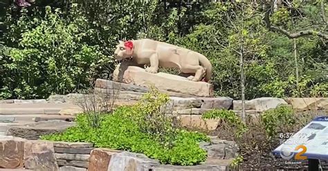 Nittany Lion shrine and other landmarks at Penn State vandalized - CBS ...