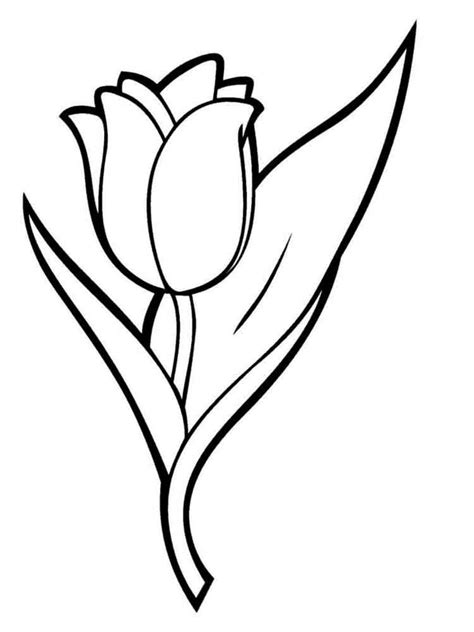 Tulip Coloring Pages Coloring Pages Flower Coloring Pages Flower