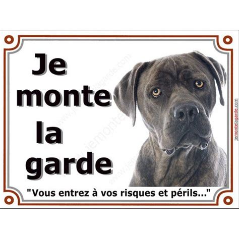 Cane Corso Bleu T Te Plaque Portail Je Monte La Garde Panneau