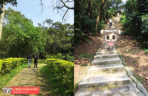 桃園景點 五酒桶山步道｜林木遮蔭 悠閒爬山｜桃園蘆竹風景區 古露露的幸福蔬食物語