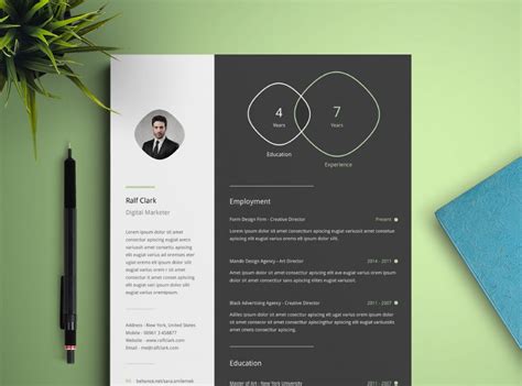 29 Awesome Infographic Resume Templates You Want to Steal - Wisestep