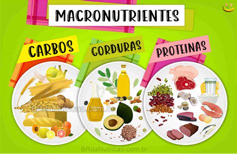 O Que São Macronutrientes Guia Para Entender Sobre Macros