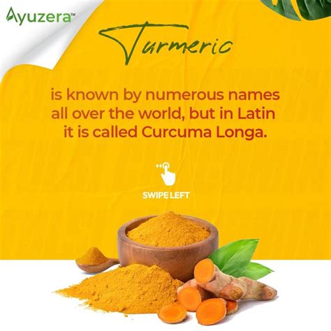 Did You Know These Facts And Benefits Of Turmeric🤔🤔 Turmeric Benefits Turmeric Health