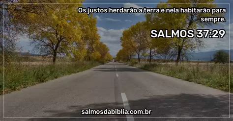 Salmo 37 29 Os justos herdarão a terra e nela habi Salmos da Bíblia