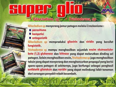 Cara Kerja Superglio Agrokompleks Kita