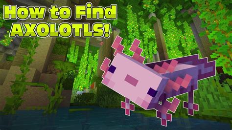 How To Find Axolotls Minecraft Youtube