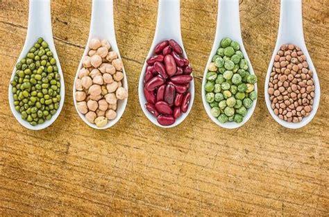 Клетчатка (пищевые волокна) – что это и зачем она нужна?