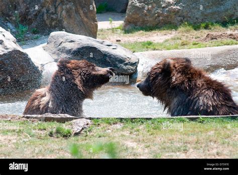 Una Intensa Ola De Calor Afecta A Varias Partes De La Ciudad De Nueva