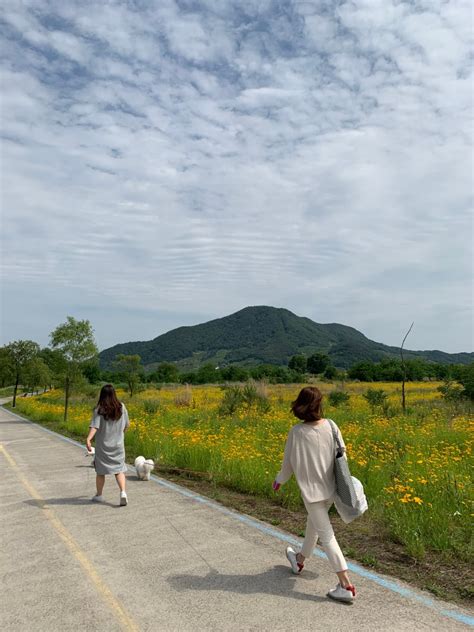 창원 가볼만한곳 강아지 동반 산책하기 좋은 북면수변생태공원 피크닉 네이버 블로그