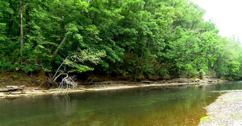 Southeastern Fly Fly Fishing The Elk River Tennessee