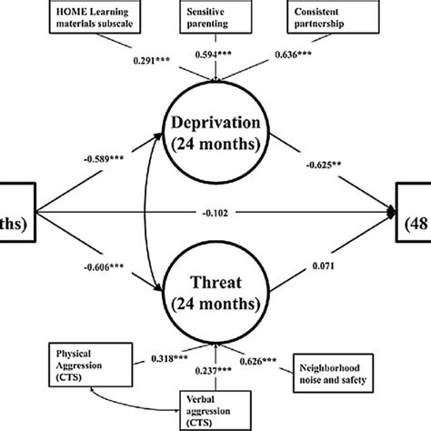 Multiple Mediation Model Showing Associations Between Socioeconomic