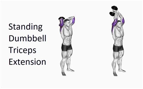 Standing Dumbbell Triceps Extension - Save Dollar