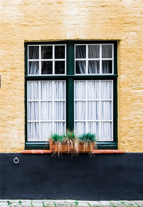 Generalidades. Ventanas