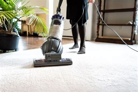 Best Rug Cleaning Machine Reviews | Linea