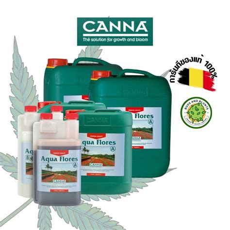 Canna Aqua Flores A B Bottles Ab