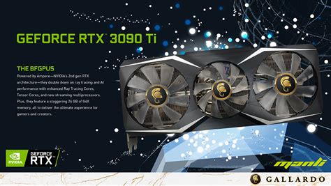 Manli GeForce RTX 3090 Ti Gallardo M3520 N667