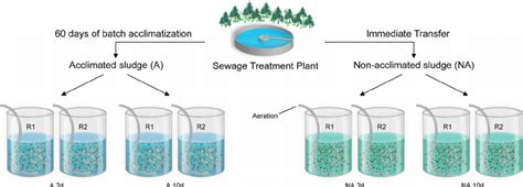 Schematic Of The Experimental Setup With Eight Lab Scale Sbrs