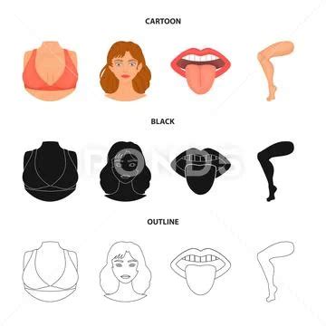 Vector Illustration Of Body And Part Logo Set Of Body And Anatomy