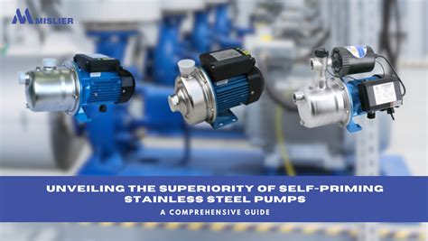 Stainless Steel Pumps Unveiling Superiority