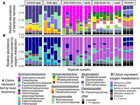 Barplots Depicting A The Relative Abundances Of Bacterial Families