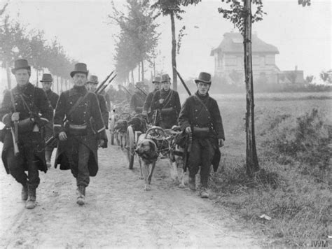 The Opening Frontier Battles Of World War One Were Fast-Moving Compared To The Long And Terrible ...