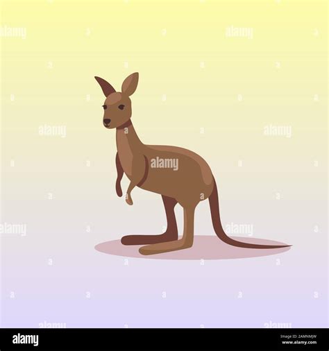 Wallaby Species Stock Vector Images Alamy