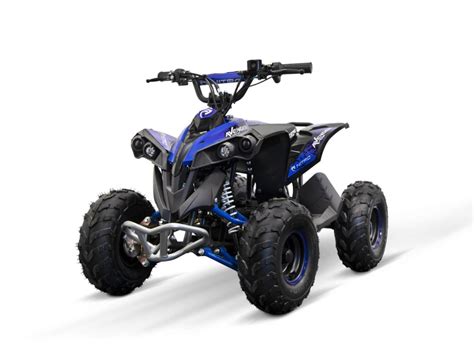 Quads Enfant Électrique 800W 1500W 36V 60V ATV