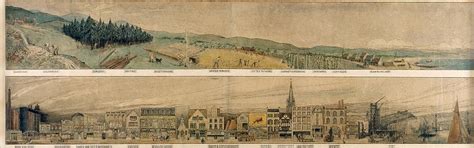 evergreen patrick geddes   environment  equilibrium built