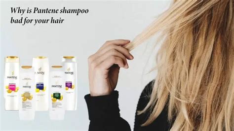 Why Is Pantene Shampoo Bad For Your Hair Know Truth