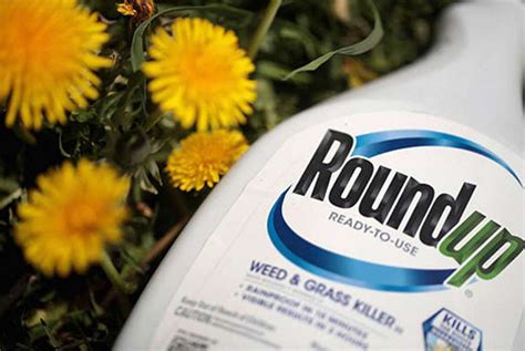 Roundup Non Hodgkins Lymphoma Lawsuit Morris Law Firm