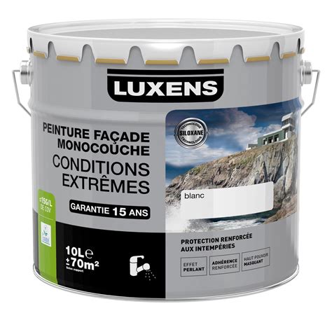 Peinture Fa Ade Conditions Extr Mes Luxens Meuli Re L Leroy Merlin