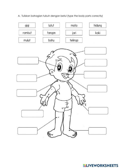 Test Y Tubuh Badan Saya Worksheet Preschool Activities School