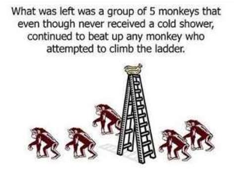 5 Monkeys And A Ladder Experiment Parasuniversal