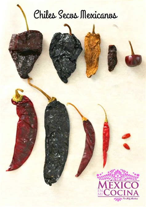 Tipos de Chiles Secos | Carácteristicas y usos en la Cocina Mexicana