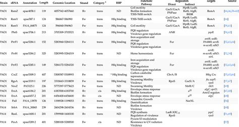 Genome Location And Regulatory Interactions Of The Srnas Already