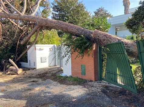 Tromba D Aria A Fregene Alberi Caduti Su Auto E Danni A Case E Negozi