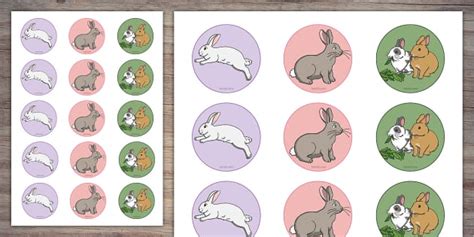 Rabbit Cupcake Toppers Twinkl Party Profesor Hizo